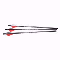 Picture of AirJavelin Air Archery Arrows with Field Tips 6-pack