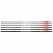 Picture of AirSaber Air Archery Airgun Arrows Carbon Fiber Field Tip 6-pack