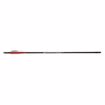 Picture of AirSaber Air Archery Airgun Arrows Carbon Fiber Field Tip 6-pack