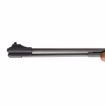 Picture of RWS MODEL 460 MAGNUM .22