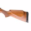 Picture of RWS MODEL 460 MAGNUM .22